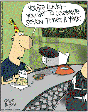 The Flying McCoys on Monday January 1, 2018 Comic Strip