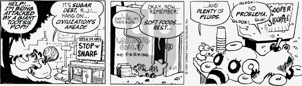 Over the Hedge on Wednesday May 21, 1997 Comic Strip