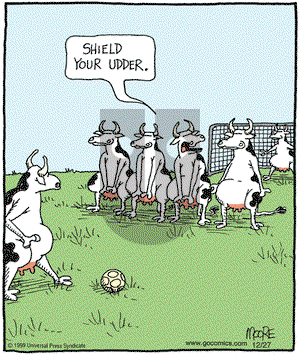 In the Bleachers on Thursday December 27, 2007 Comic Strip