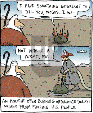 The Argyle Sweater on Thursday August 12, 2010 Comic Strip