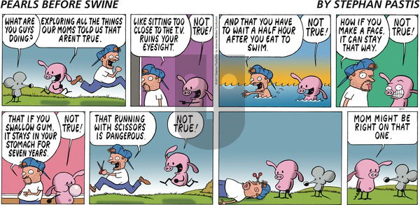 Pearls Before Swine on Sunday September 17, 2017 Comic Strip