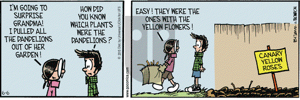Grand Avenue on Saturday June 6, 2015 Comic Strip