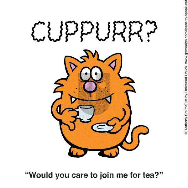 Learn to Speak Cat on Monday May 26, 2025 Comic Strip