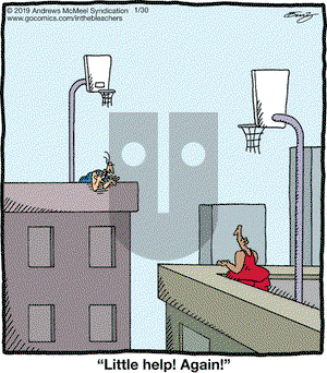In the Bleachers on Wednesday January 30, 2019 Comic Strip