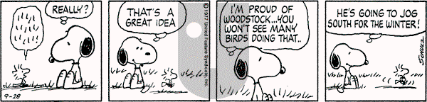 Peanuts - Wednesday September 28, 1977 Comic Strip