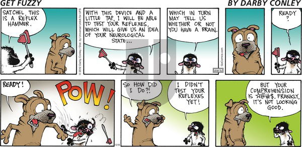Get Fuzzy on Sunday December 30, 2012 Comic Strip