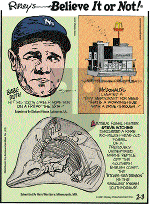 Ripley's Believe It or Not on Wednesday February 3, 2021 Comic Strip