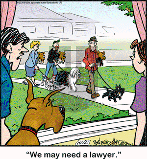 Marmaduke on Monday October 21, 2019 Comic Strip