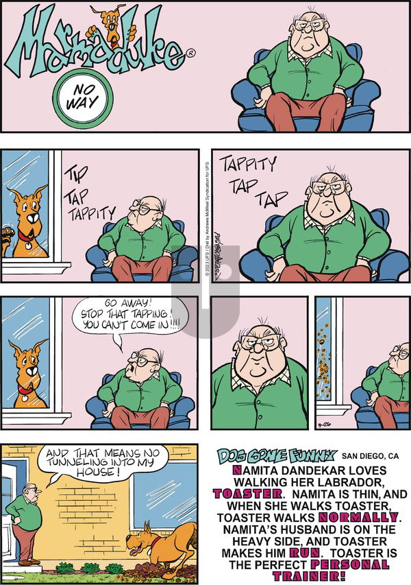 Marmaduke - Sunday March 26, 2023 Comic Strip
