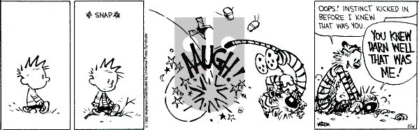 Calvin and Hobbes - Saturday March 14, 1992 Comic Strip