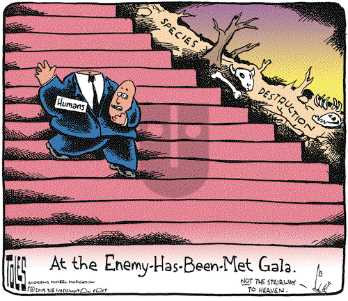 Tom Toles on Wednesday May 8, 2019 Comic Strip