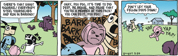 Pooch Cafe on Monday May 29, 2017 Comic Strip