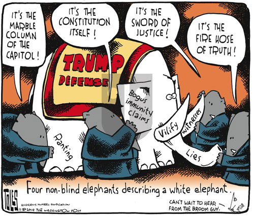 Tom Toles on Sunday November 17, 2019 Comic Strip