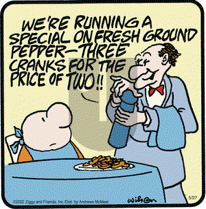 Ziggy - Friday May 27, 2022 Comic Strip