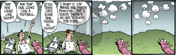 Monty on Monday September 17, 2012 Comic Strip