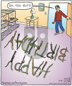 Brevity on Thursday December 16, 2010 Comic Strip