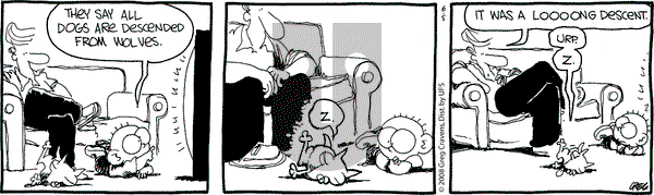 The Buckets on Thursday June 5, 2008 Comic Strip