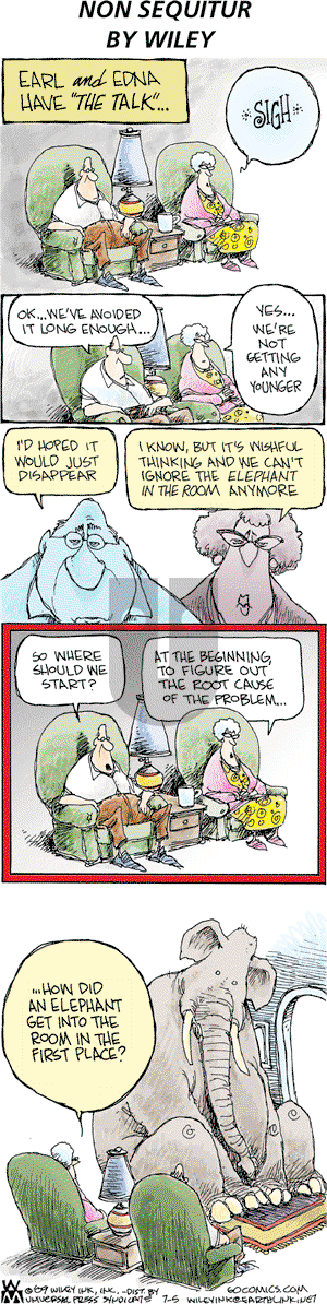 Non Sequitur on Sunday July 5, 2009 Comic Strip