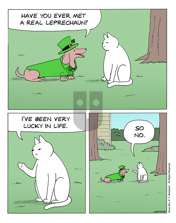 Snow Sez on Monday March 17, 2025 Comic Strip
