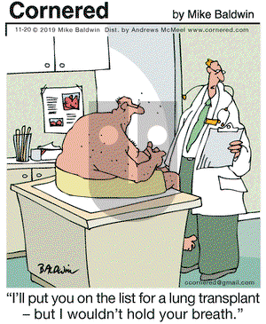 Cornered on Wednesday November 20, 2019 Comic Strip