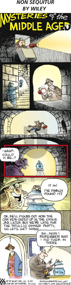 Non Sequitur - Sunday February 22, 2015 Comic Strip