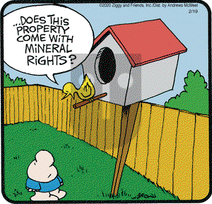 Ziggy on Wednesday February 19, 2020 Comic Strip