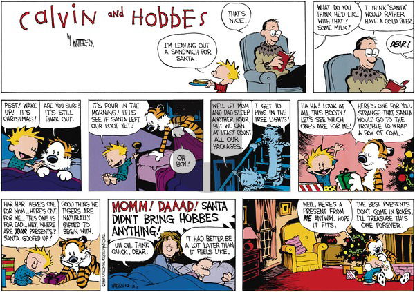 Calvin and Hobbes on Sunday December 25, 1988 Comic Strip