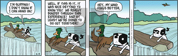 Pooch Cafe on Friday June 8, 2018 Comic Strip