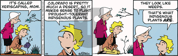 Freshly Squeezed on Saturday June 28, 2025 Comic Strip