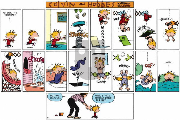Calvin and Hobbes on Sunday August 6, 1995 Comic Strip