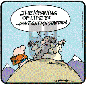 Ziggy on Friday June 4, 2010 Comic Strip