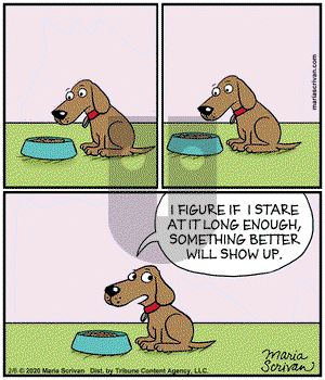 Half Full - Thursday February 6, 2020 Comic Strip
