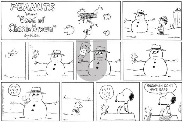 Peanuts on Sunday December 21, 1986 Comic Strip