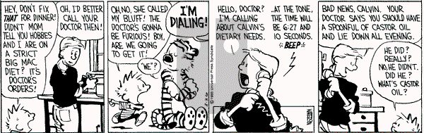 Calvin and Hobbes - Friday February 26, 1988 Comic Strip