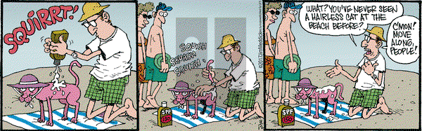 Monty on Saturday August 12, 2017 Comic Strip