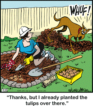Marmaduke on Tuesday May 12, 2015 Comic Strip