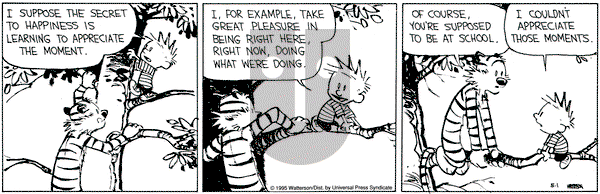 Calvin and Hobbes on Monday May 1, 1995 Comic Strip