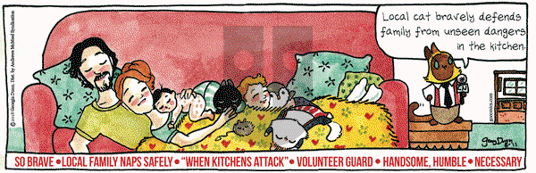 Breaking Cat News on Saturday August 11, 2018 Comic Strip