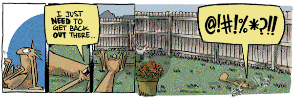 Bob the Squirrel on Thursday June 12, 2025 Comic Strip