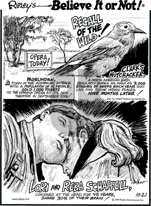 Ripley's Believe It or Not on Saturday October 21, 2006 Comic Strip