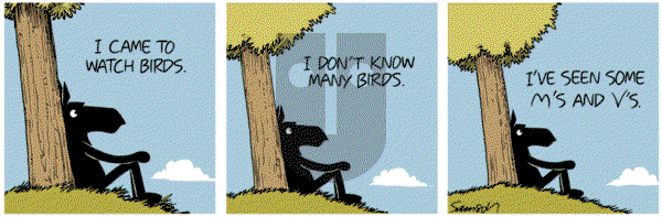 Dark Side of the Horse on Sunday December 16, 2018 Comic Strip