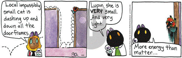 Breaking Cat News on Wednesday June 4, 2025 Comic Strip