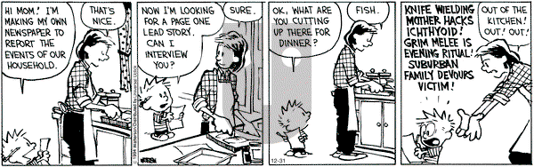 Calvin and Hobbes on Wednesday December 31, 2014 Comic Strip