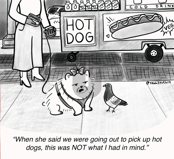 Yeah It’s Chill on Wednesday January 24, 2024 Comic Strip