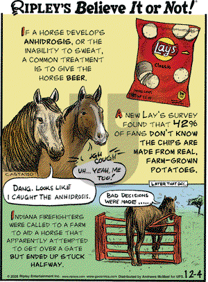 Ripley's Believe It or Not on Thursday December 4, 2025 Comic Strip