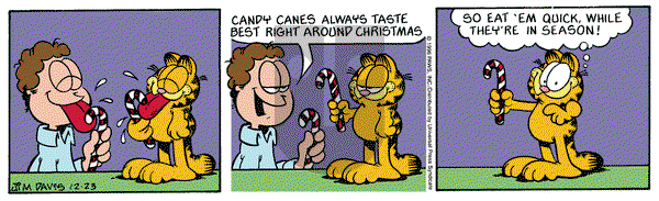 Garfield - Monday December 23, 1996 Comic Strip