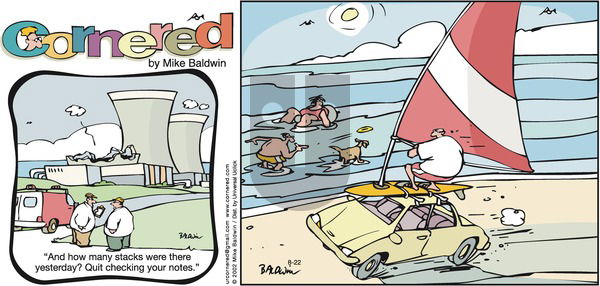 Cornered on Sunday August 22, 2010 Comic Strip