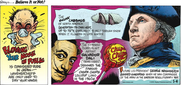 Ripley's Believe It or Not on Sunday January 4, 2015 Comic Strip
