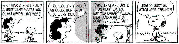 Peanuts on Monday May 19, 1980 Comic Strip