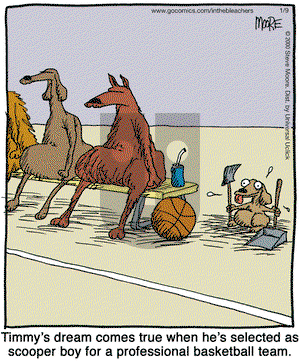 In the Bleachers - Monday January 9, 2012 Comic Strip